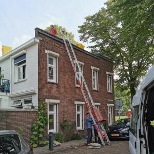 Gepassioneerde pensionado's helpen met klimaatklussen