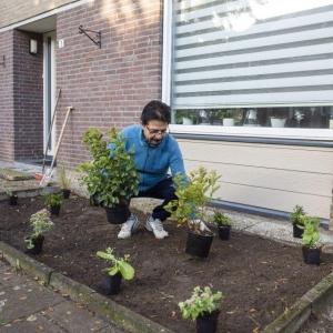 Vergroenen voortuinen bij mutatie