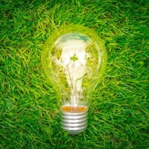 Green Energy Day